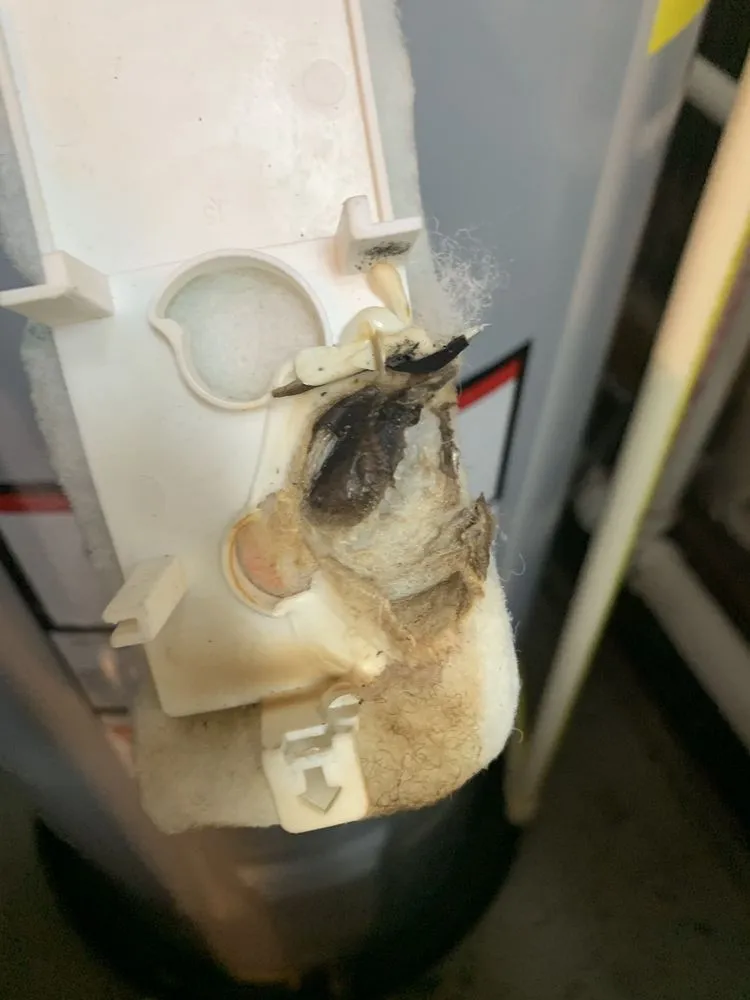 Slide of Supreme Service Today