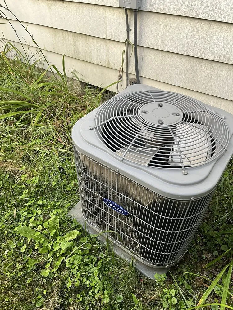 Slide of Sutton & Son's Mechanical