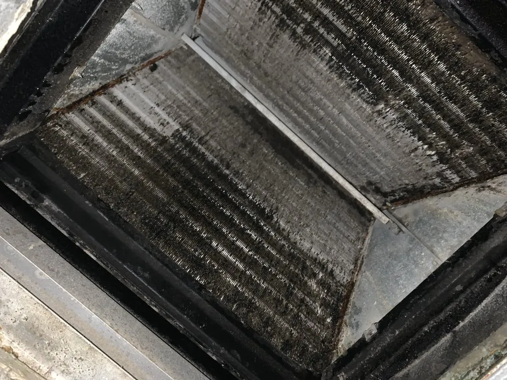 Slide of Suzie And Sons