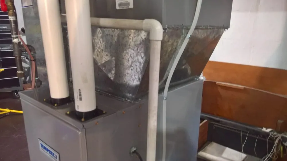 Slide of Swimmin With the Fishes