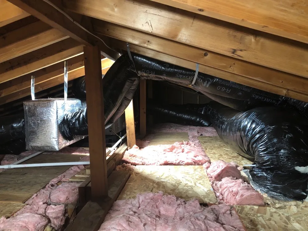 Slide of Swimmin With the Fishes