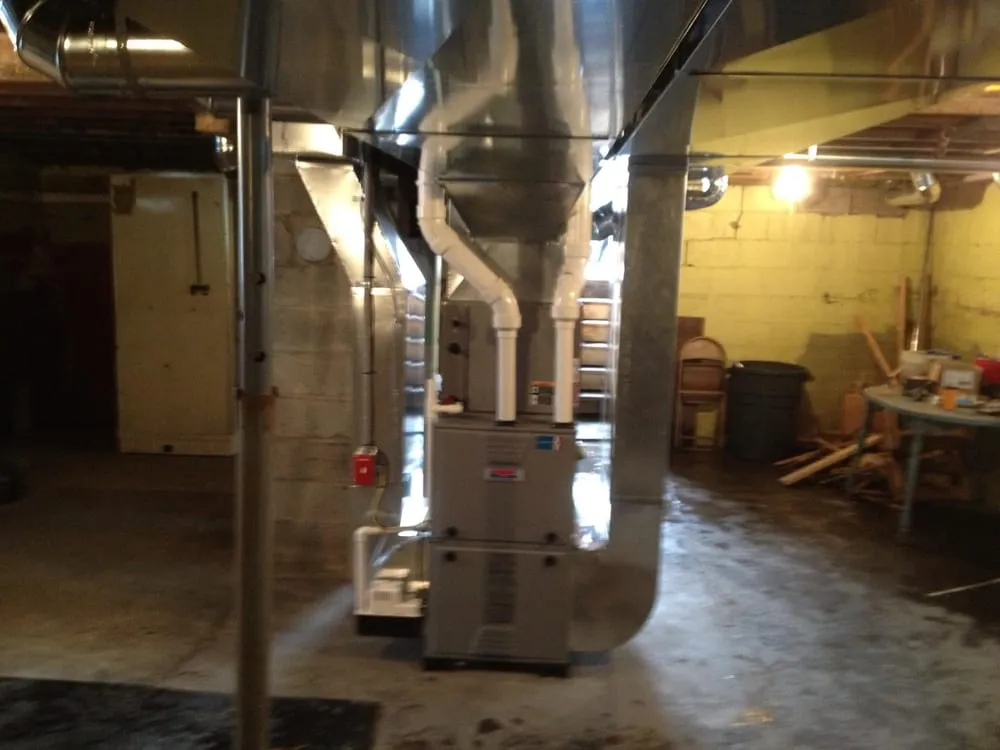 Slide of Swimmin With the Fishes