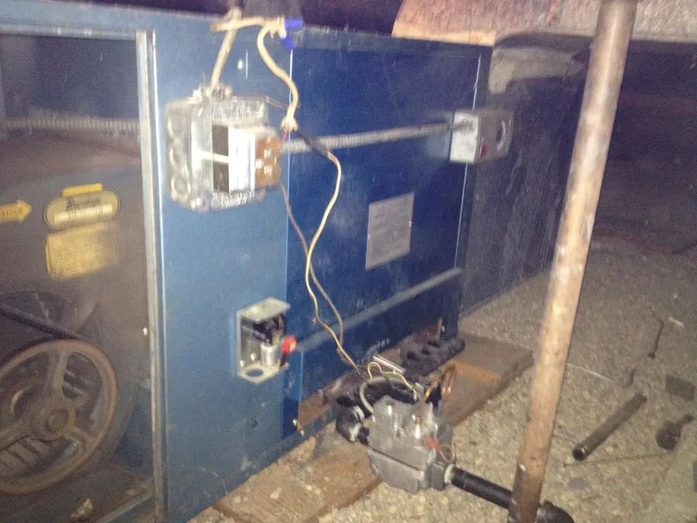 Slide of Swimmin With the Fishes