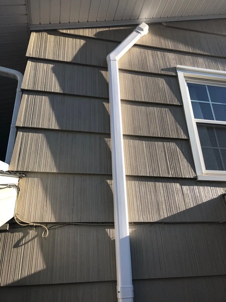 Slide of Swimmin With the Fishes