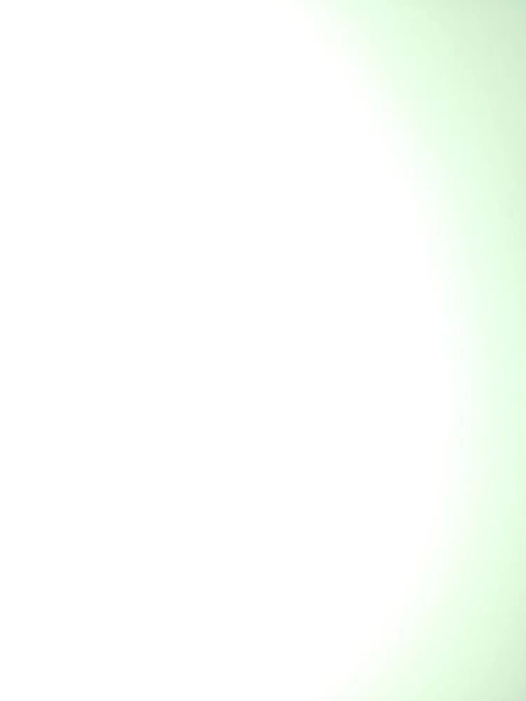 Slide of Swimmin With the Fishes