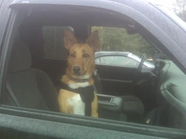 Slide of Sylvester's Air