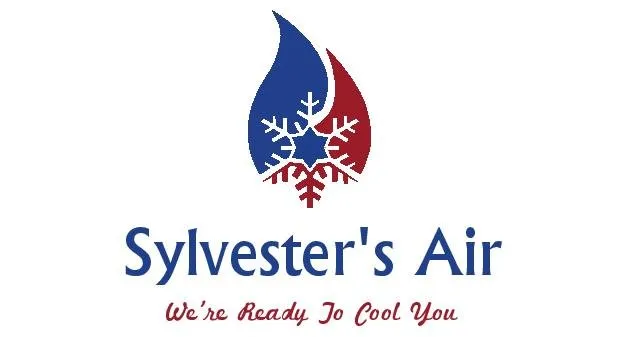 Slide of Sylvester's Air