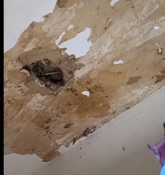 Slide of Synergy Companies