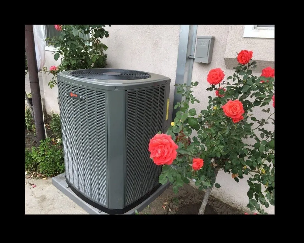 Slide of Synergy Home Services - Malibu