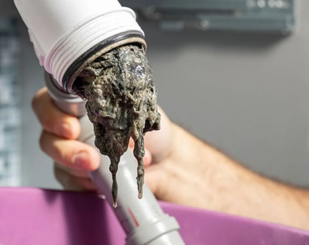 Slide of Synergy Home Services Los Angeles