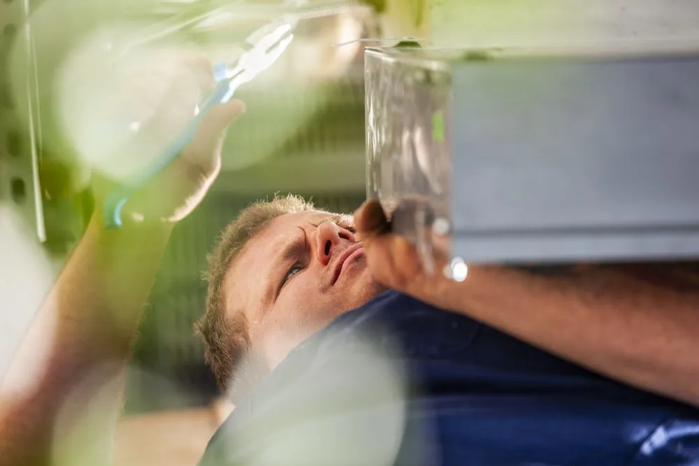 Slide of Synergy Home Services Los Angeles