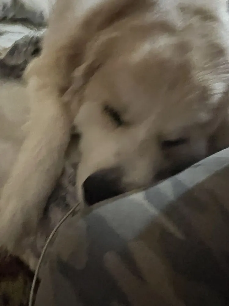 Slide of T & A Hvac Services and Repairs