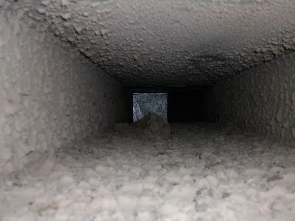 Slide of Tabetha Instant Cleaning