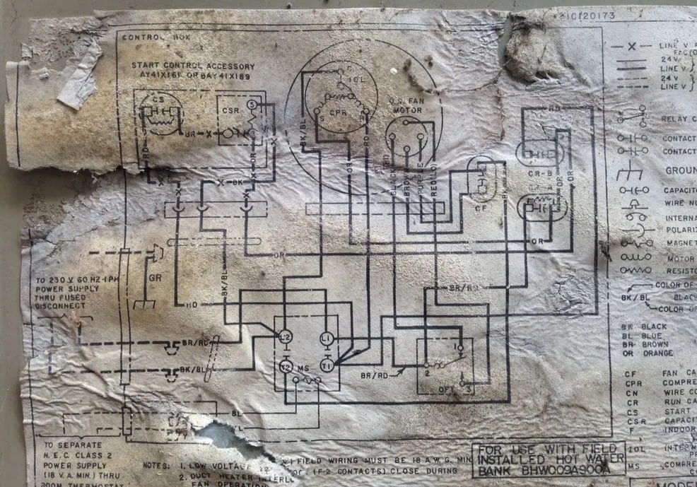 Slide of Taco Service Dept