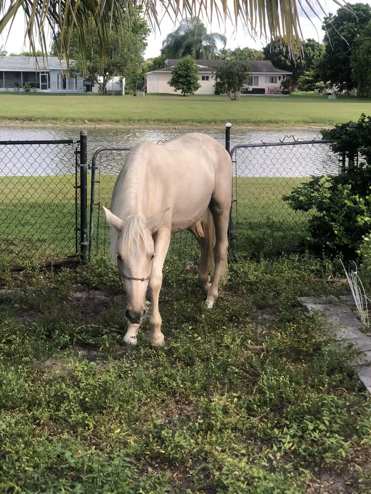 Slide of Tamarac Air & Appliance