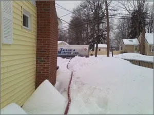 Slide of Taylor & Murphy