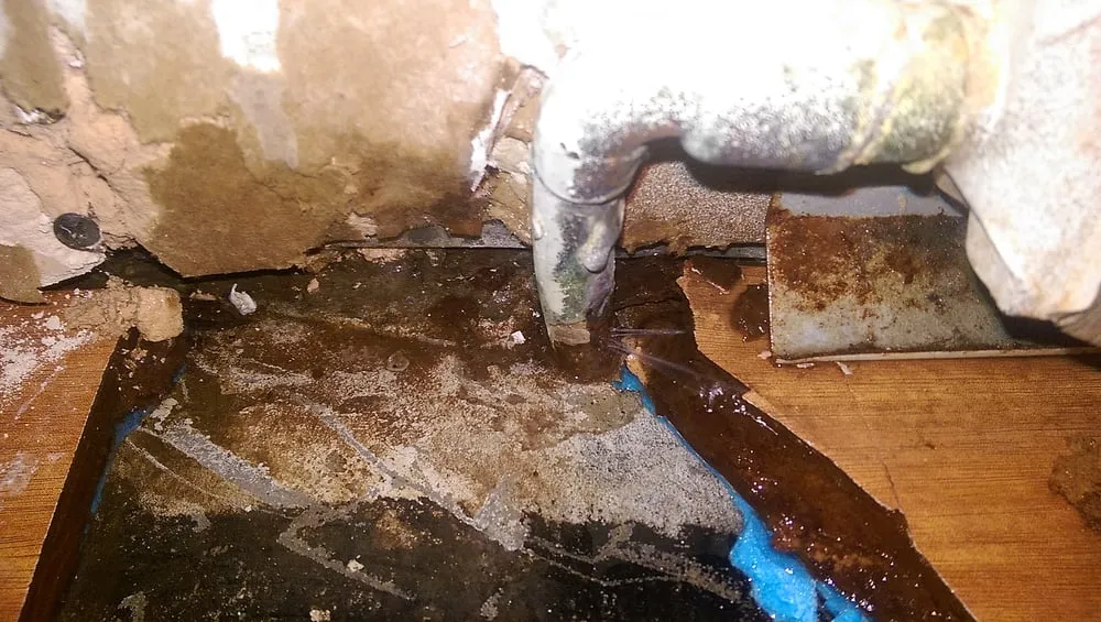 Slide of Taylor-Made Comfort