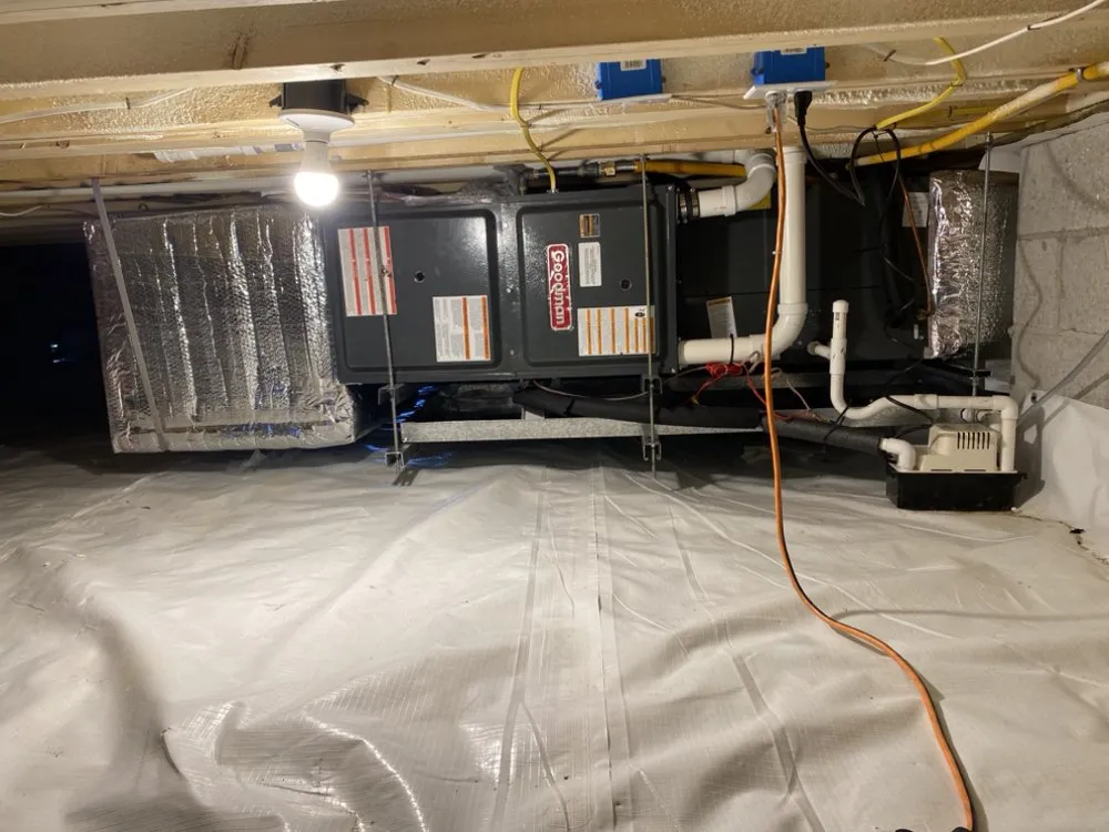 Slide of TAZ Quality Touch