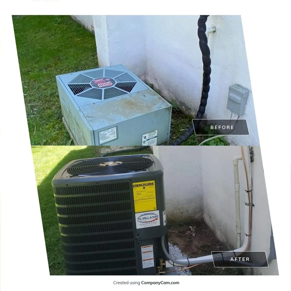 Slide of TE Spall & Son