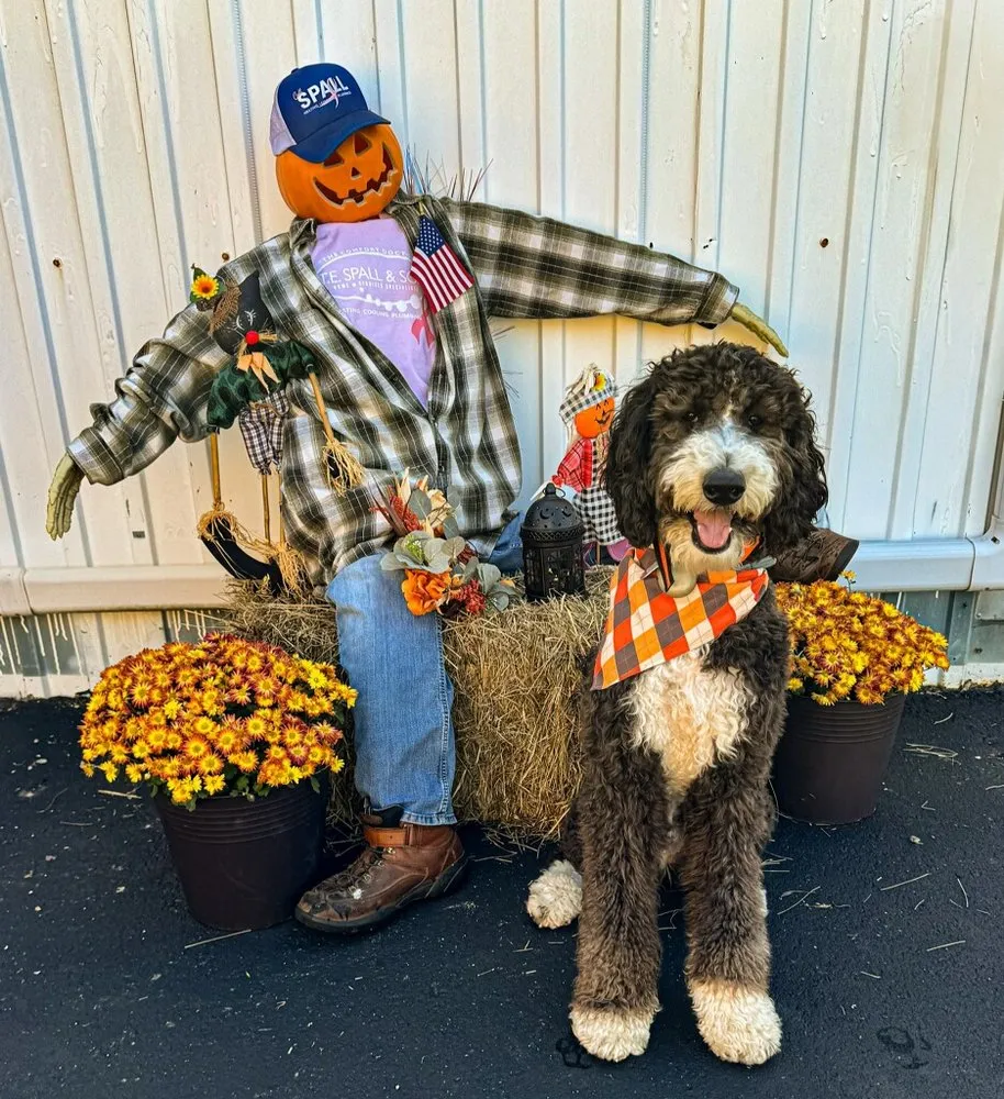 Slide of TE Spall & Son