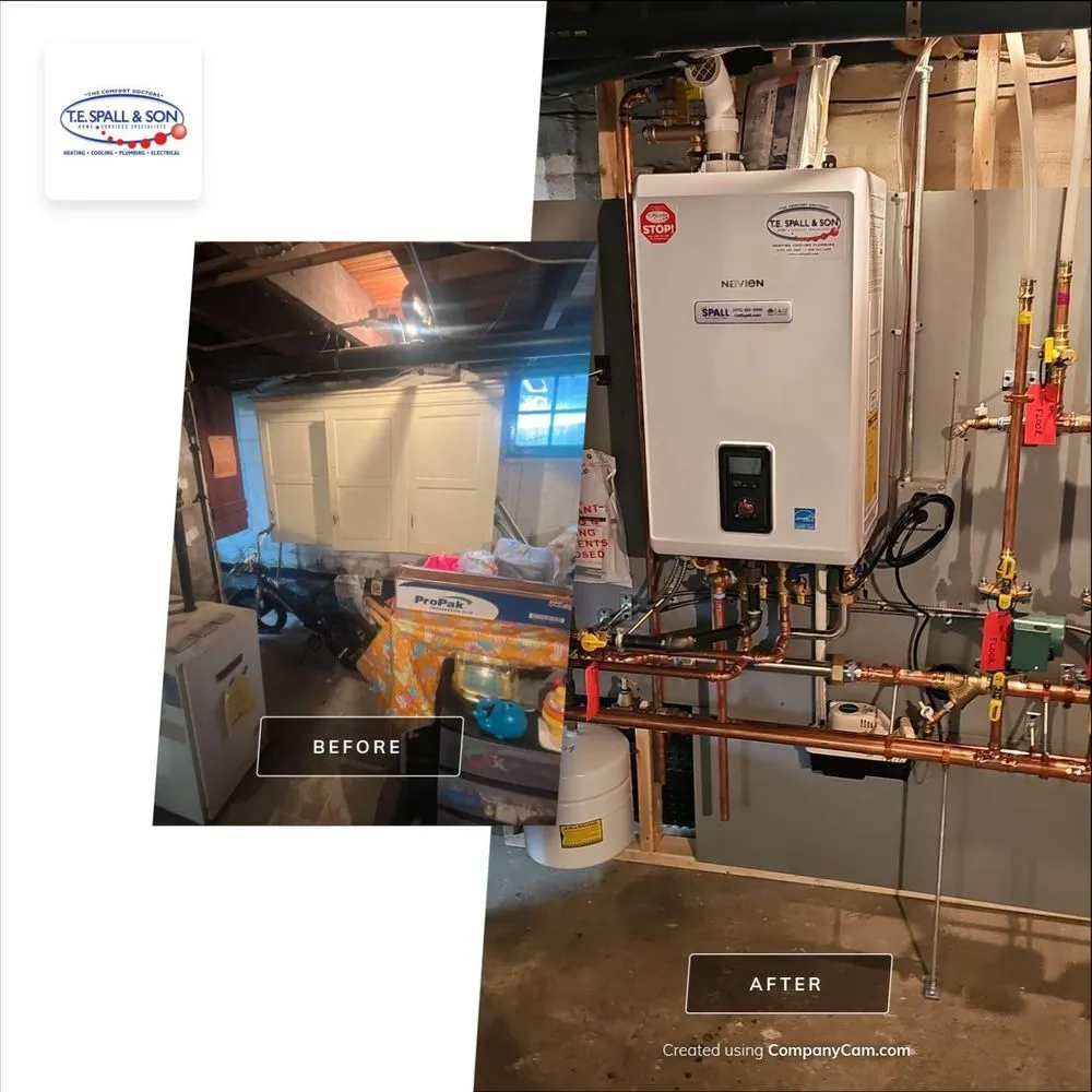 Slide of TE Spall & Son