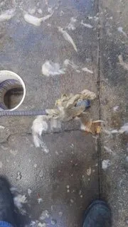 Slide of Team Flo-Right