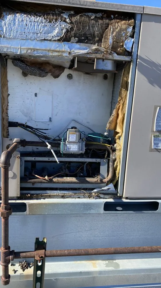 Slide of Techno Crats