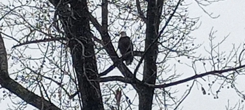 Slide of Tedford HOME Works