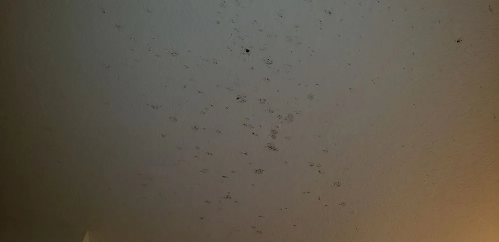 Slide of Temp Pro Mechanical