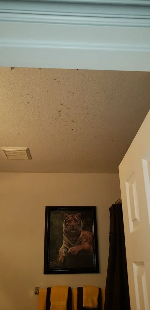 Slide of Temp Pro Mechanical