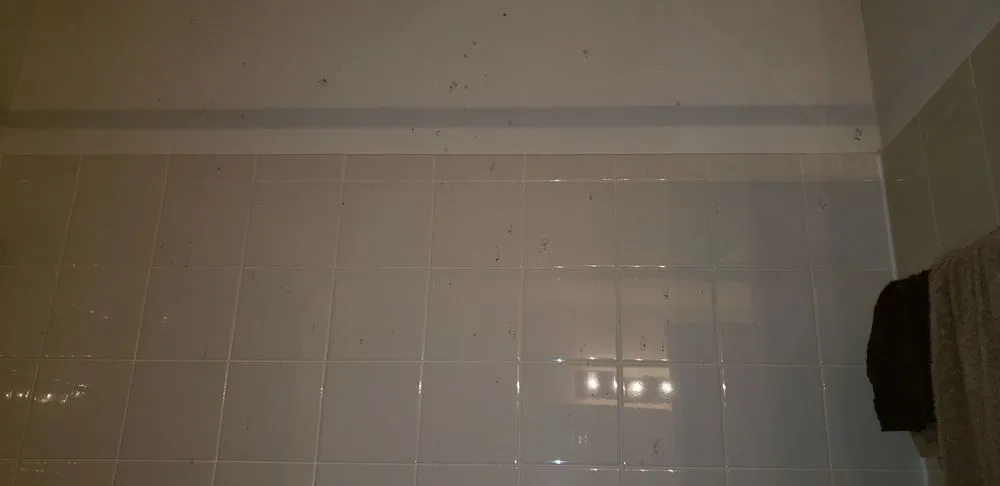 Slide of Temp Pro Mechanical