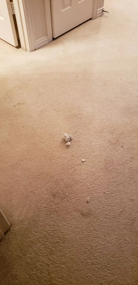 Slide of Temp Pro Mechanical