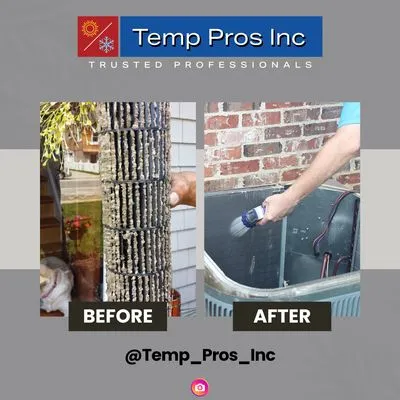 Temp Pros