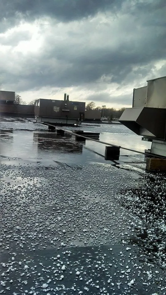 Slide of Temperature Control Maintenance