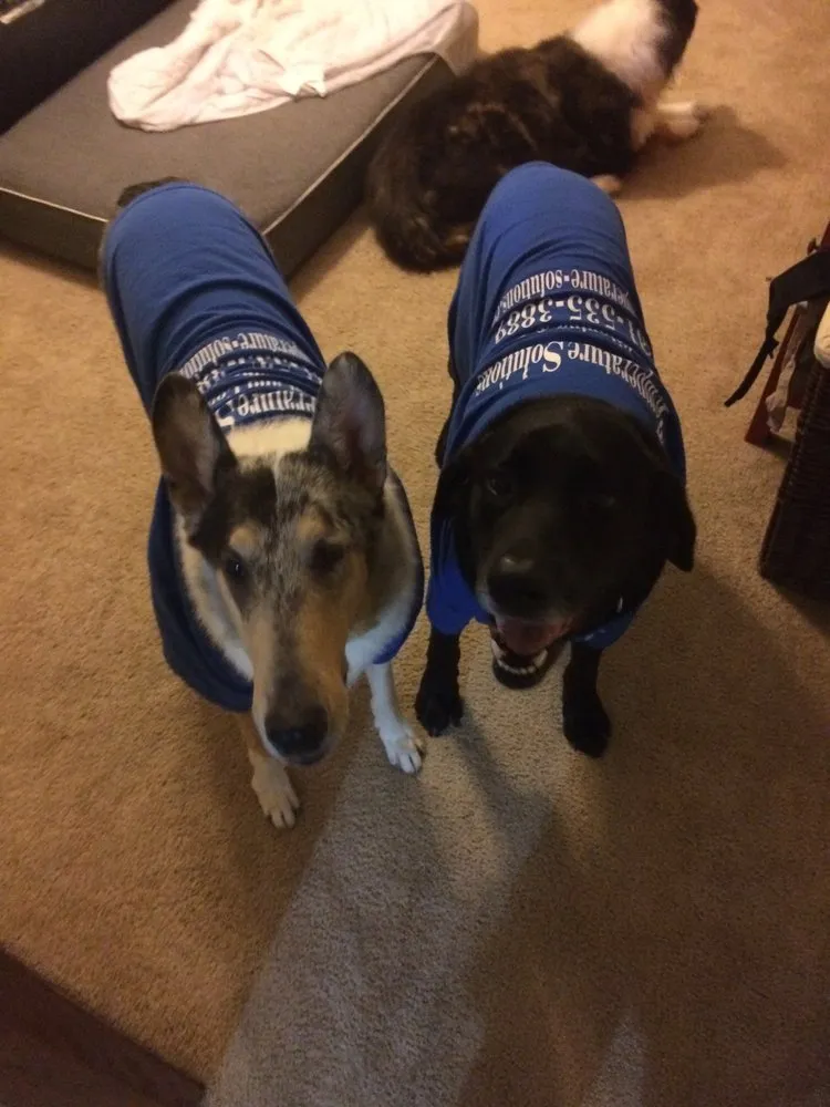 Slide of Temperature Solutions Air Conditioning and Heating