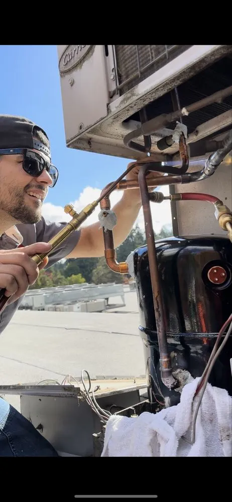 Slide of Temperature Zone