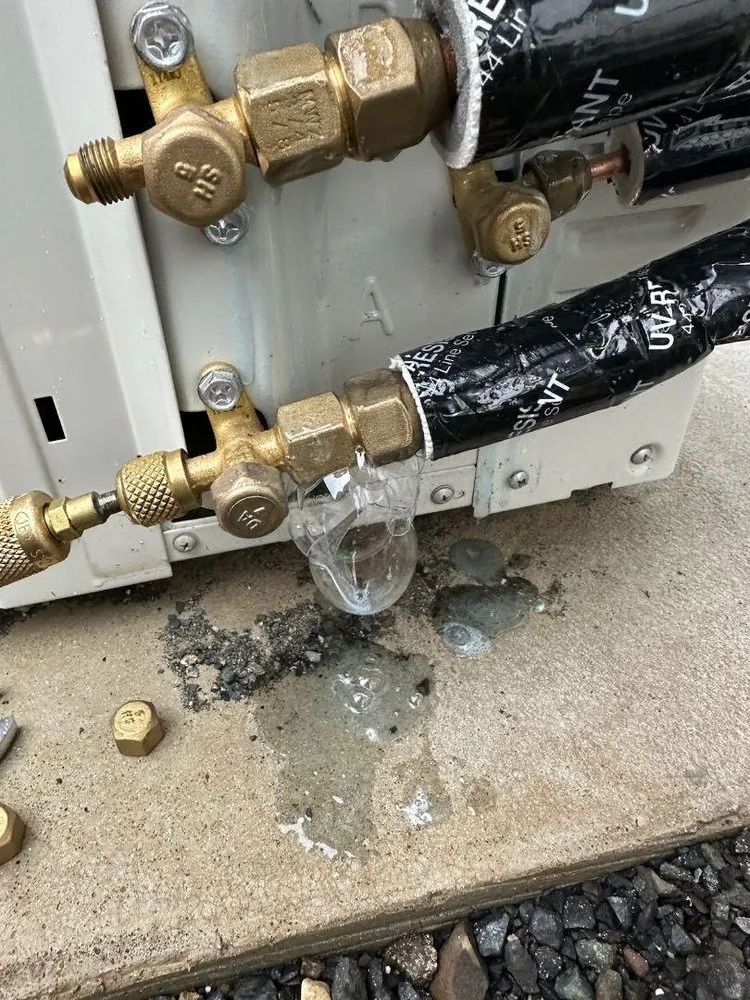 Slide of Temperature Zone