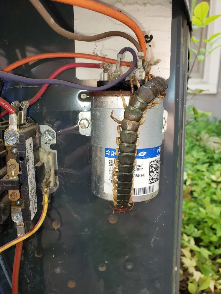 Slide of TemperaturePro Austin