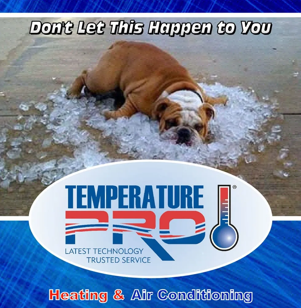 Slide of TemperaturePro Austin