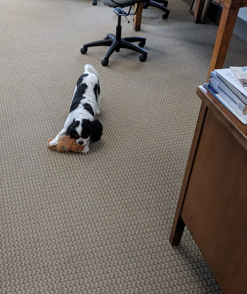 Slide of TemperaturePro Birmingham