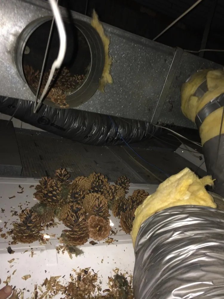 Slide of Templin Heating & Cooling