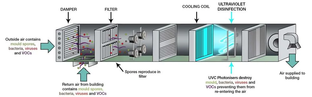 Slide of Tennessee Ultraviolet