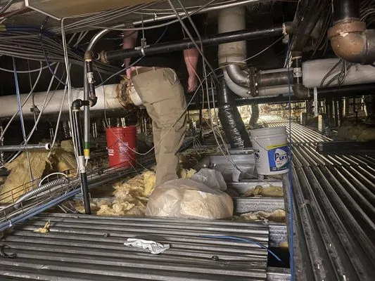 Terry Home Repairs Logo