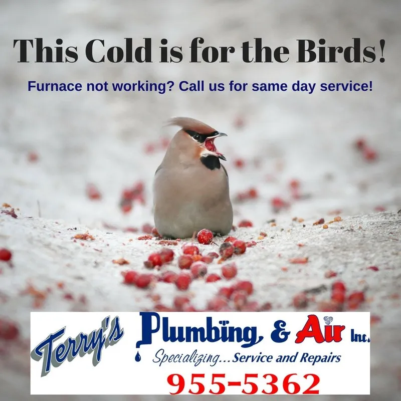 Slide of Terry's Plumbing Air & Energy