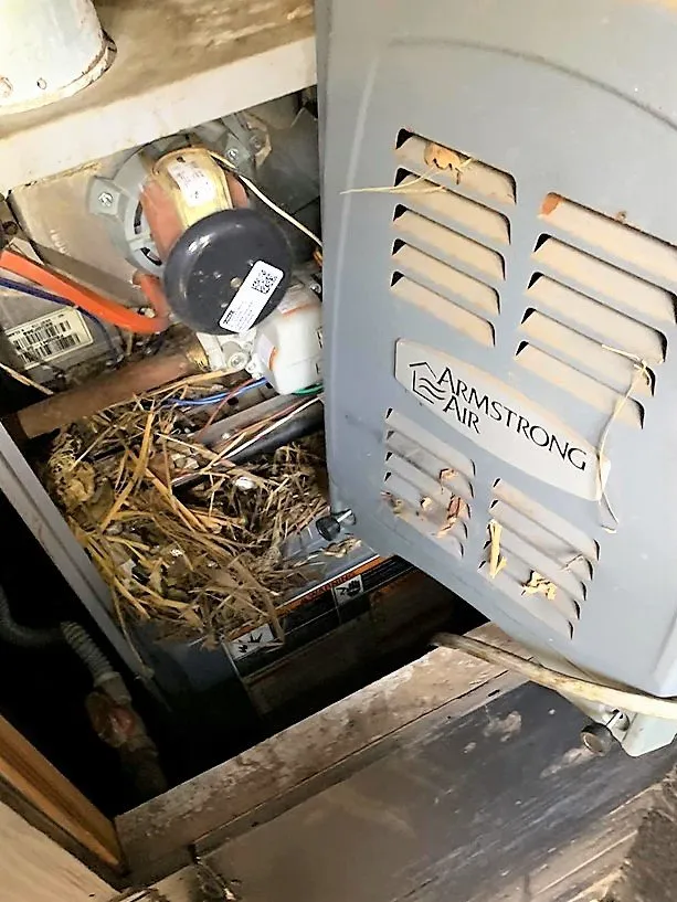 Slide of Texas Air Doctors