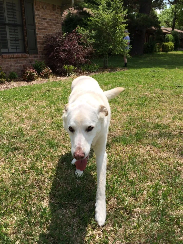 Slide of Texas AirZone