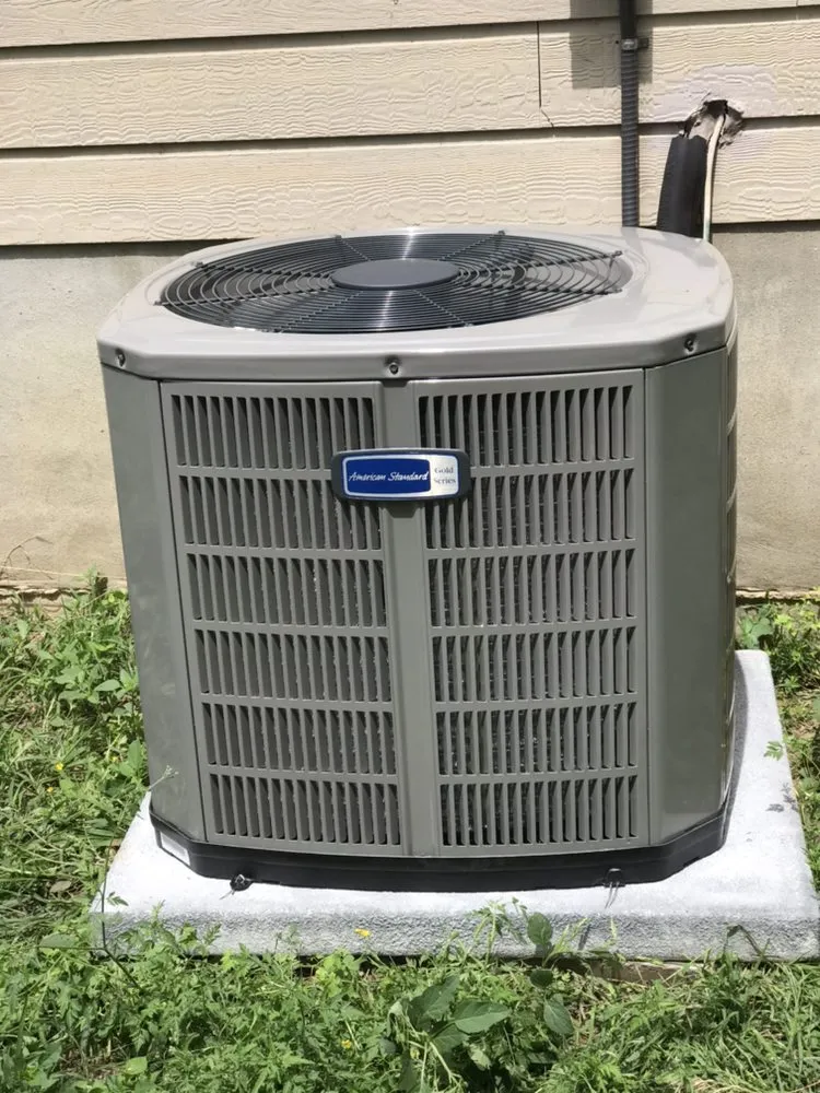 Slide of Texas Golden Air