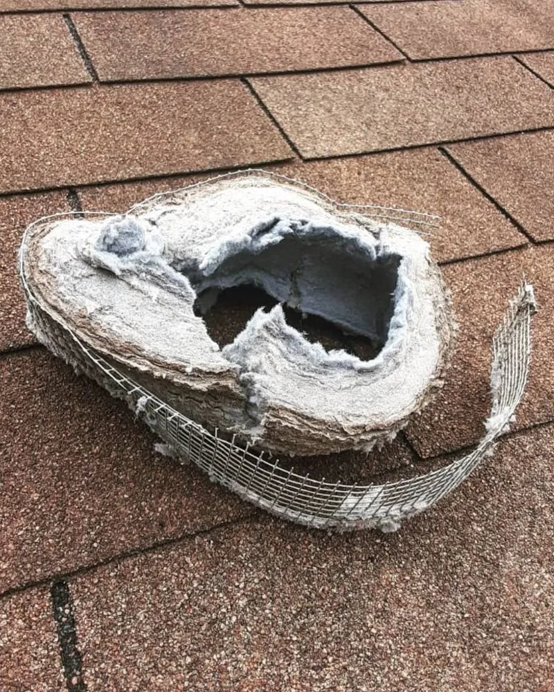 Slide of Texas Green Air