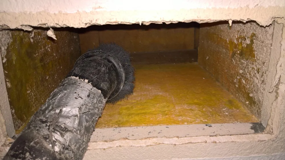 Slide of Texas Green Air