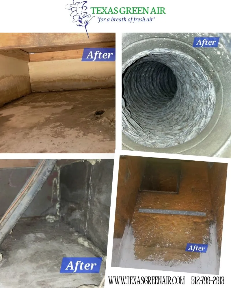 Slide of Texas Green Air